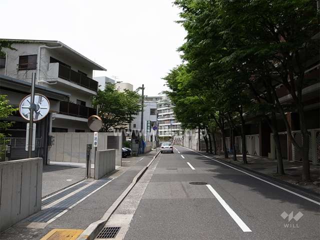 敷地北側の前面道路