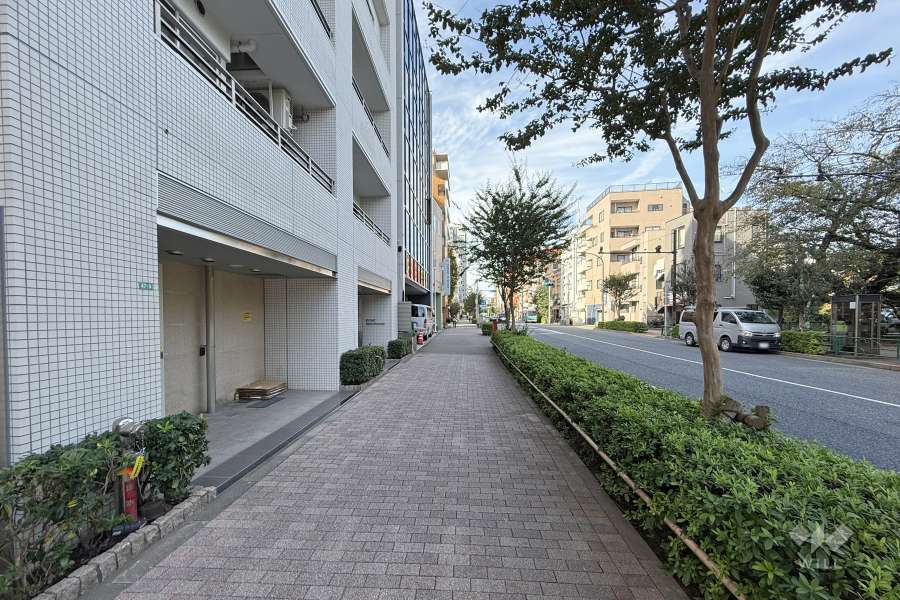 敷地北側の前面道路　