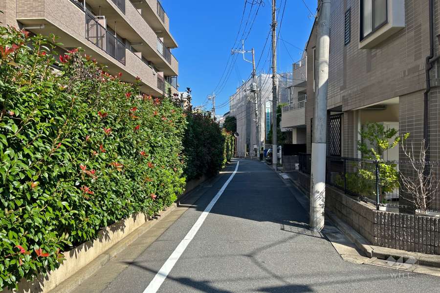 敷地南東側の前面道路（南西側から）