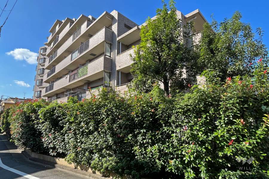 中野方南町グランドハイツの外観（東側から）