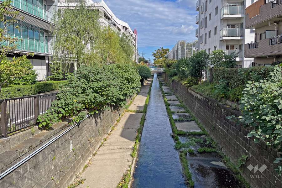 敷地の西側の神田川（南側から）