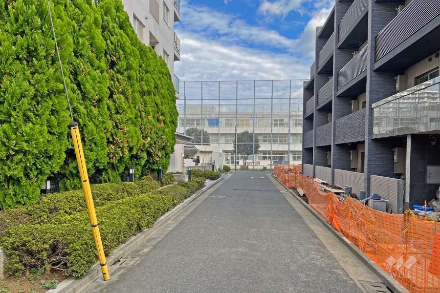 敷地の東側前面道路（南側から）