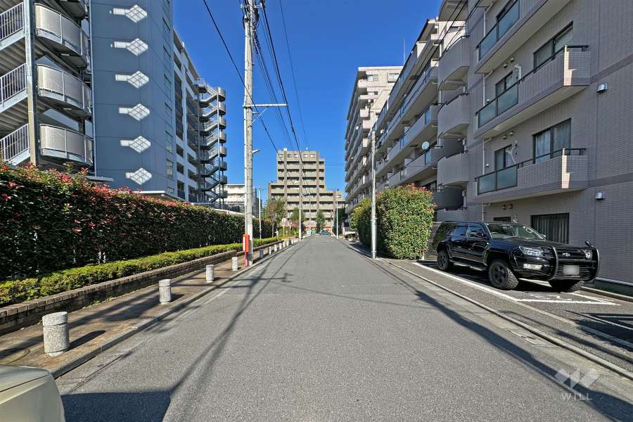 敷地の西側前面道路（南側から）