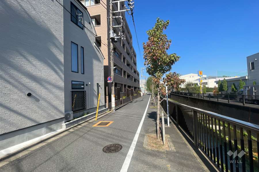 敷地の東側前面道路（南側から）