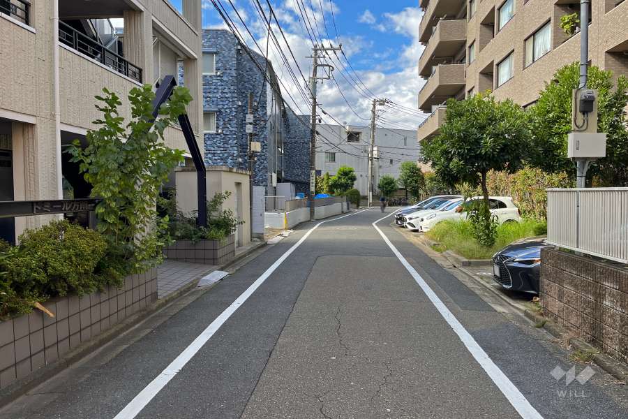 敷地南東側の前面道路（北東側から）