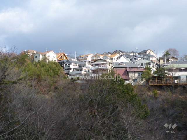 仁川ガーデンステージの遠景（南側から）