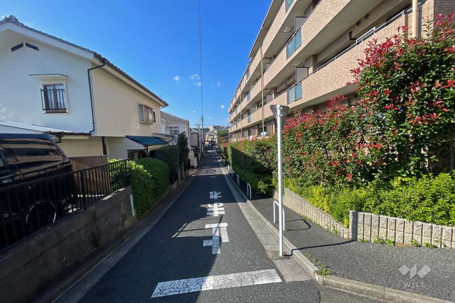 敷地南側の前面道路（東側から）
