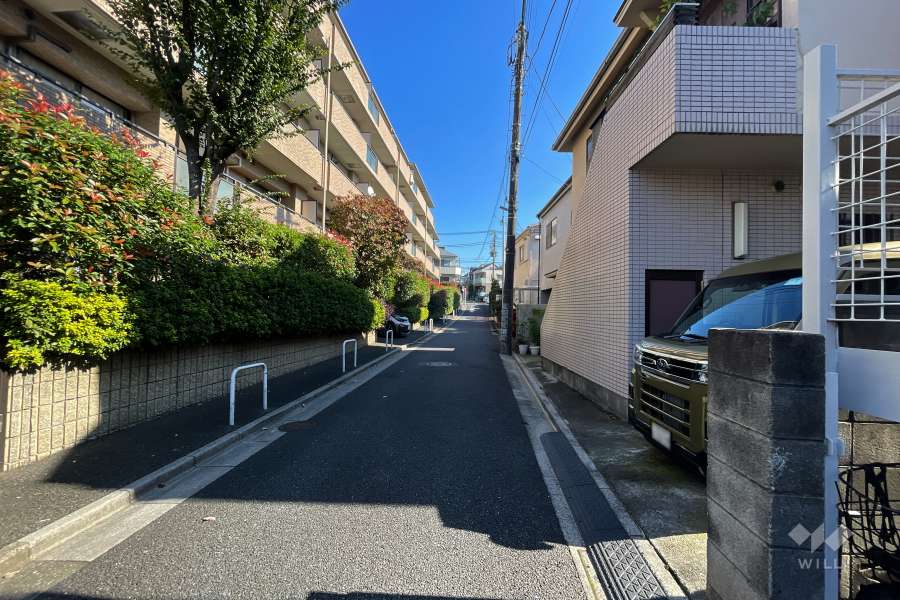 敷地南側の前面道路（西側から）