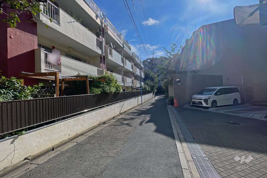 敷地の南側前面道路（西側から）