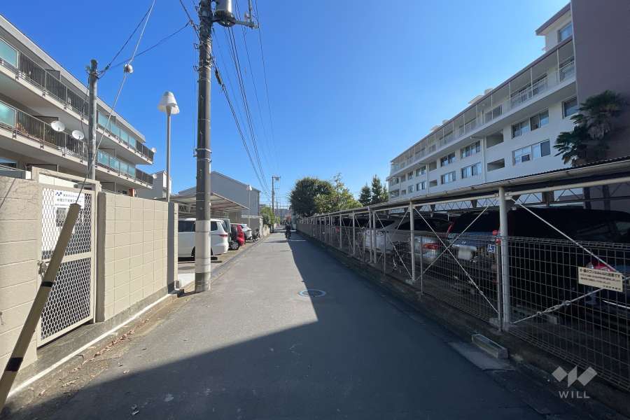 敷地の北側前面道路（西側から）