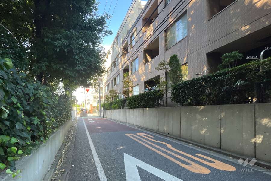 敷地の南側前面道路（東側から）
