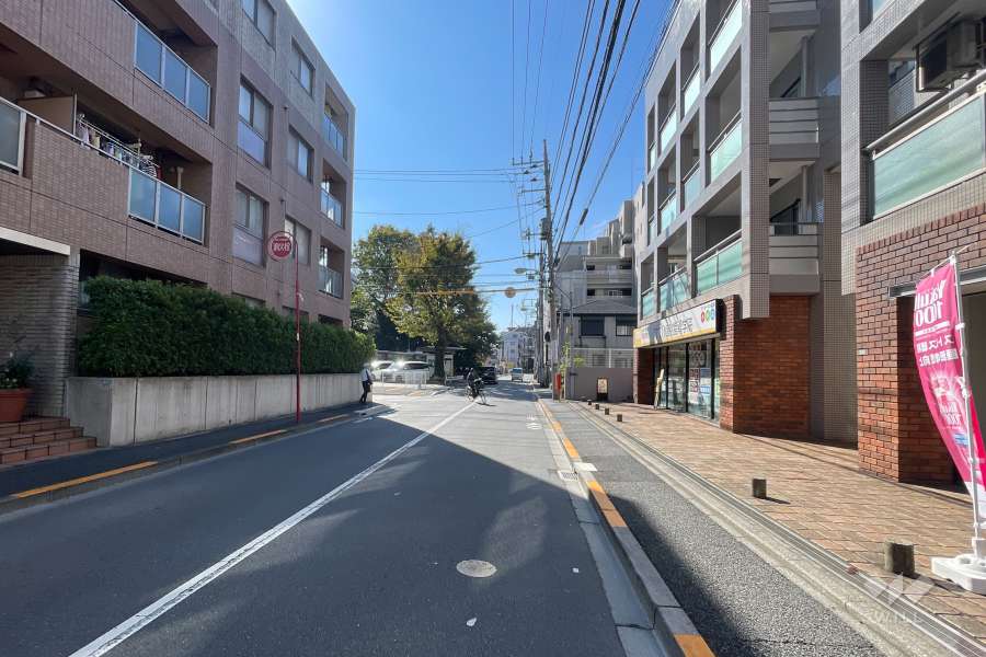 敷地の西側前面道路（北側から）