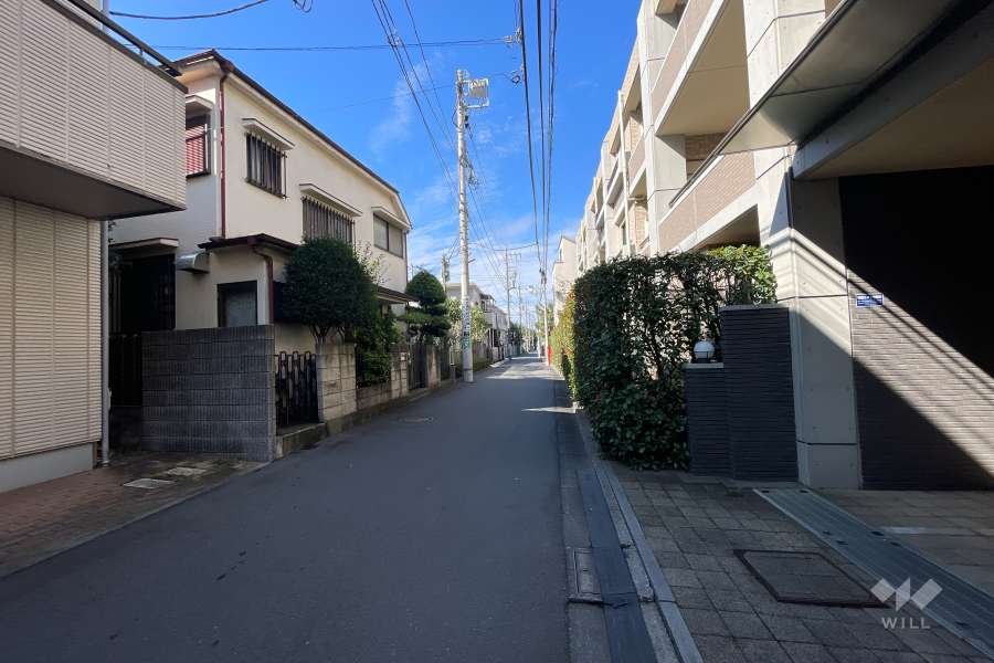 敷地の南側前面道路（東側から）