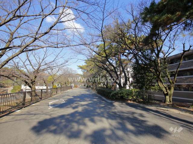 敷地西側には夙川が流れており、川沿いには遊歩道が整備されています。