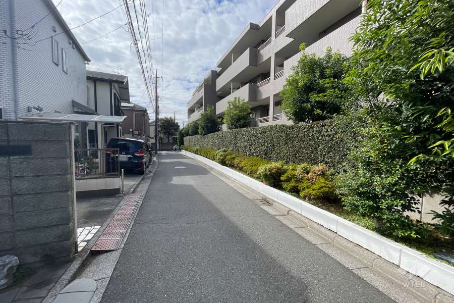 敷地の南側前面道路（東側から）