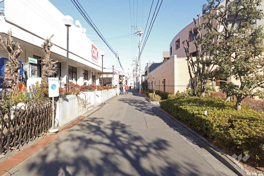 敷地北側の前面道路（西側から）