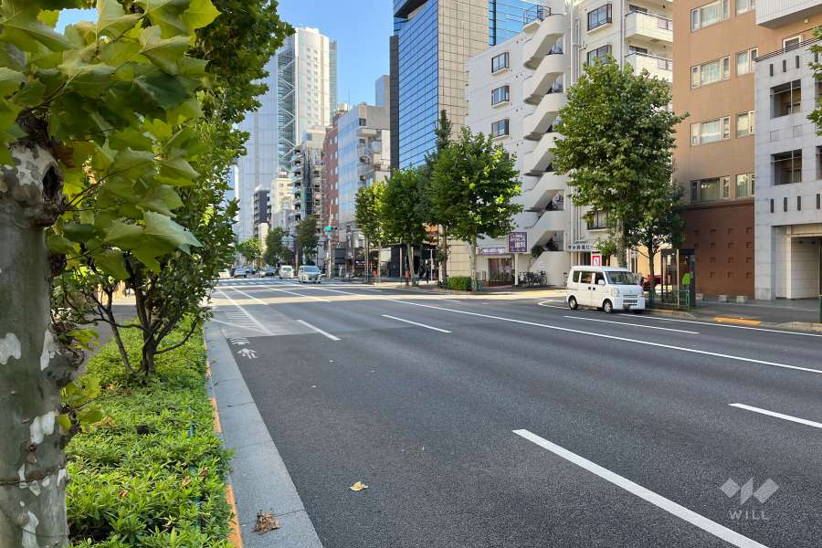 敷地の北側前面道路（西側から）