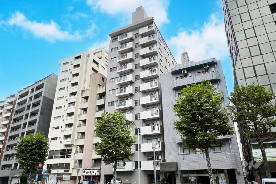 中野永谷マンションの外観（北西側から）