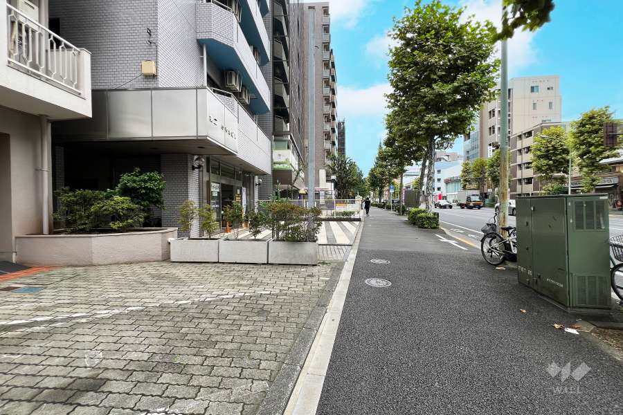 敷地の北側前面道路（東側から）