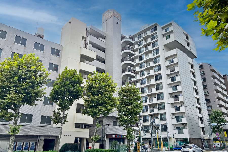 ルシール新中野の外観（北東側から）