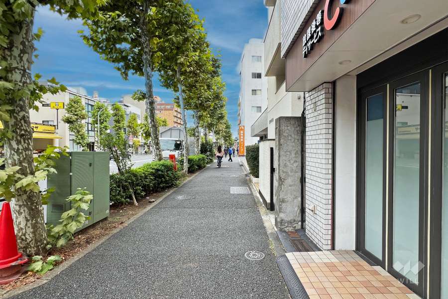 敷地北側の前面道路（西側から）