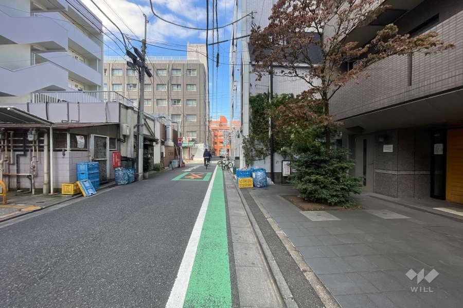 敷地南側の前面道路　
