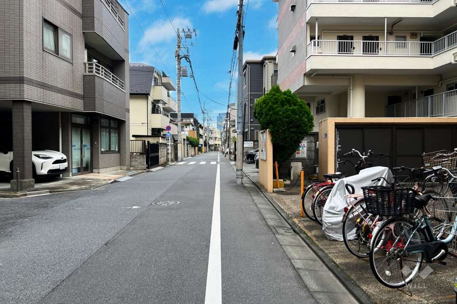 敷地北側の前面道路（西側から）