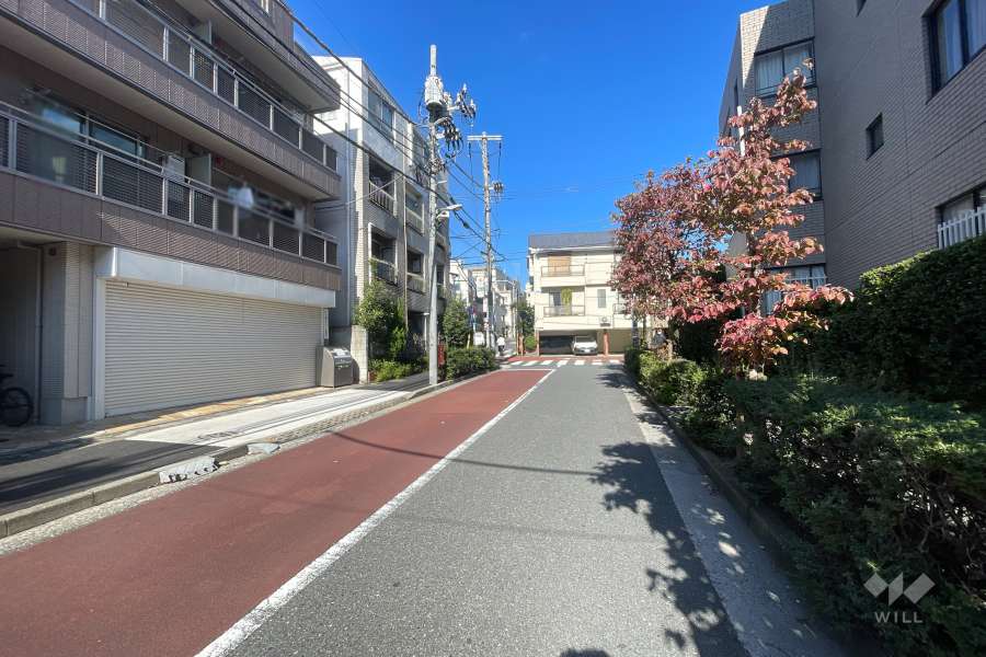 敷地東側の前面道路　