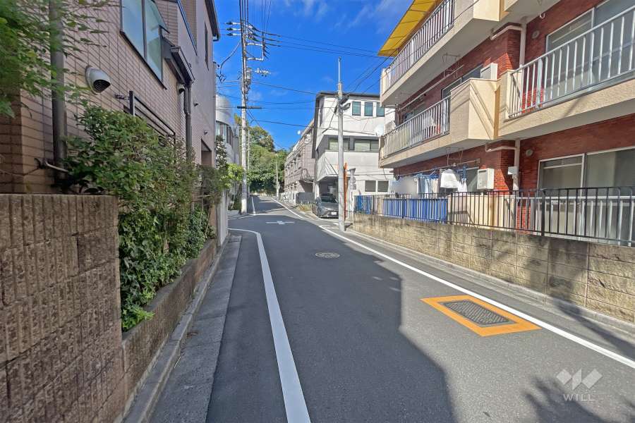 敷地の西側前面道路（南側から）