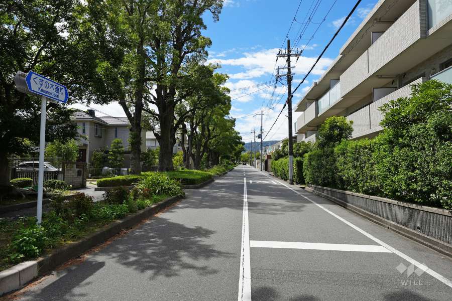 敷地南側の前面道路（東側から）