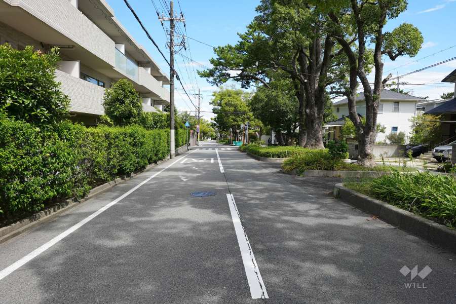 敷地南側の前面道路（西側から）