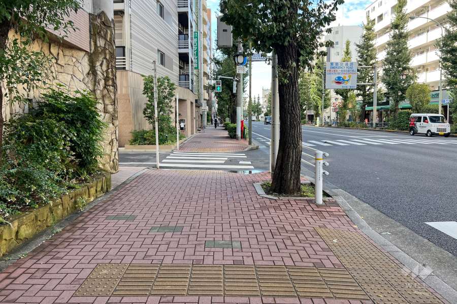 敷地北側の前面道路　