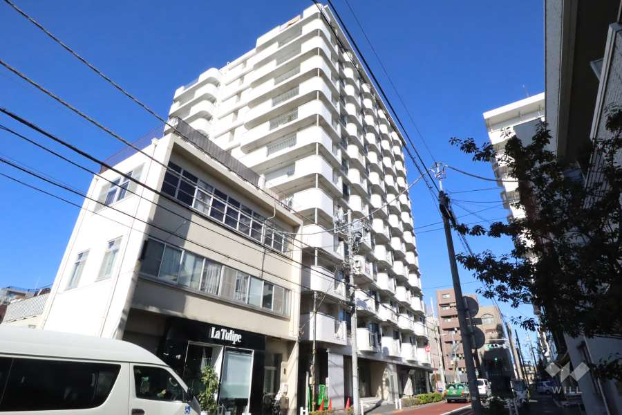 中野スカイマンションの外観(南東側から)