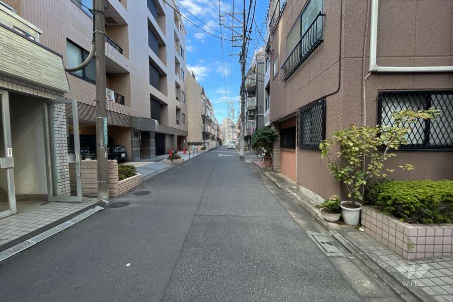 敷地の南側前面道路（西側から）