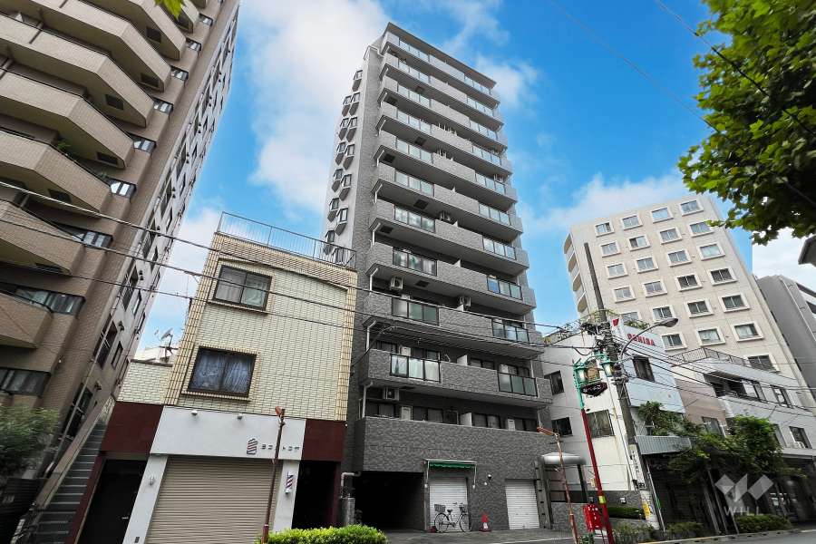 オリエンタル新中野の外観（南側から）
