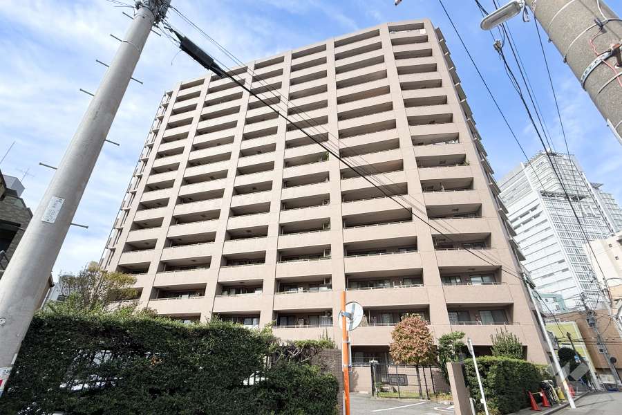ナイスアーバン中野坂上の外観（南東側から）