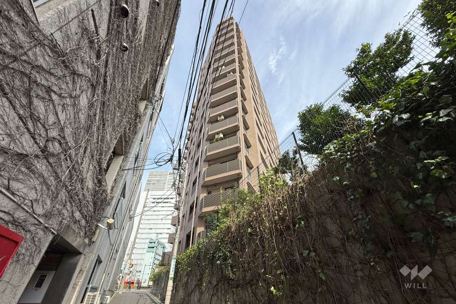 ナイスアーバン中野坂上の外観（南側から）