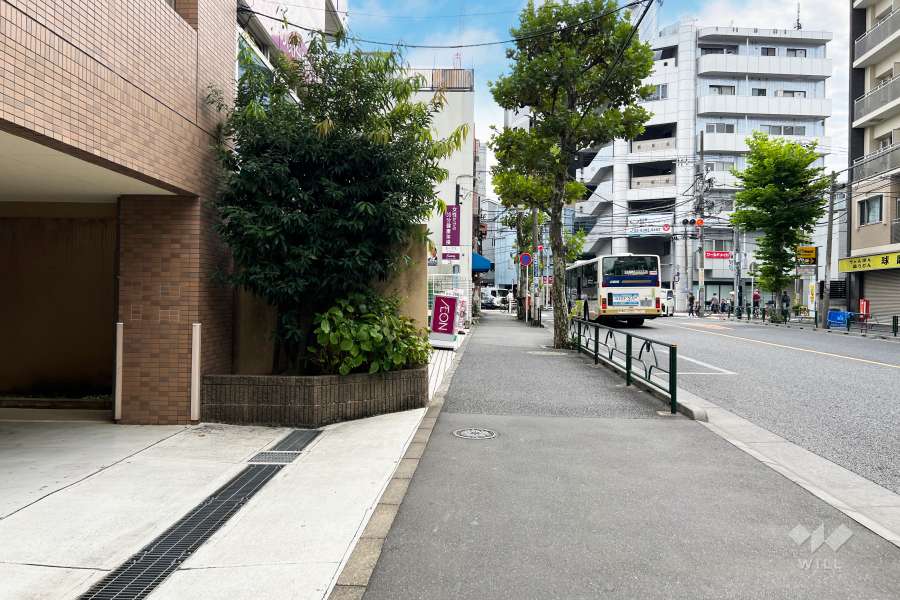 敷地の西側前面道路（北側から）