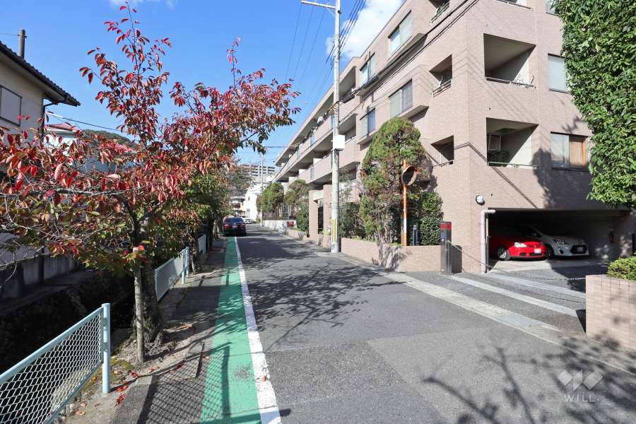 敷地西側の前面道路