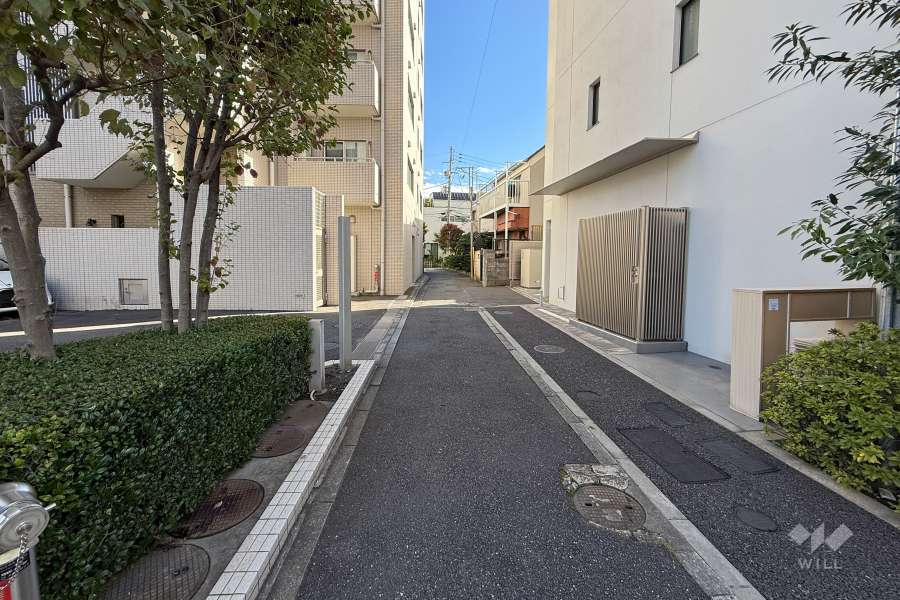 敷地南側の前面道路　
