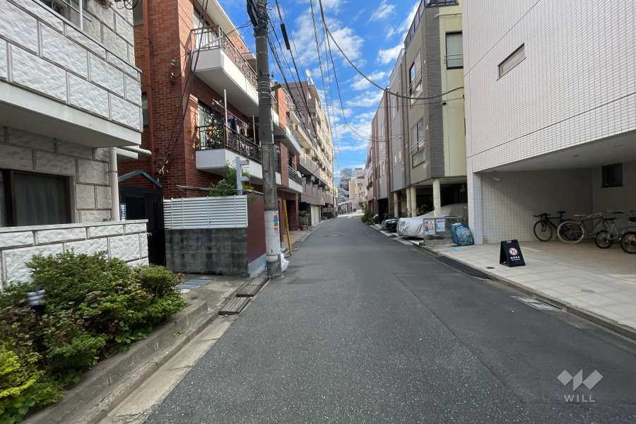 敷地南側の前面道路（西側から）