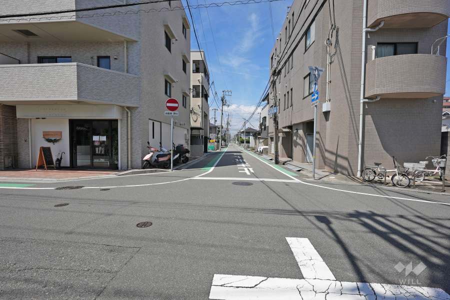 敷地西側の前面道路（南側から）