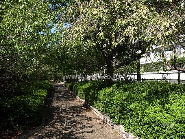 バス通りを挟んで、緑道、宝塚スポーツセンターがあります。