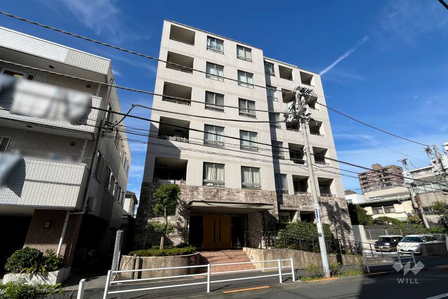 ルイシャトレ新中野の外観（南東側から）