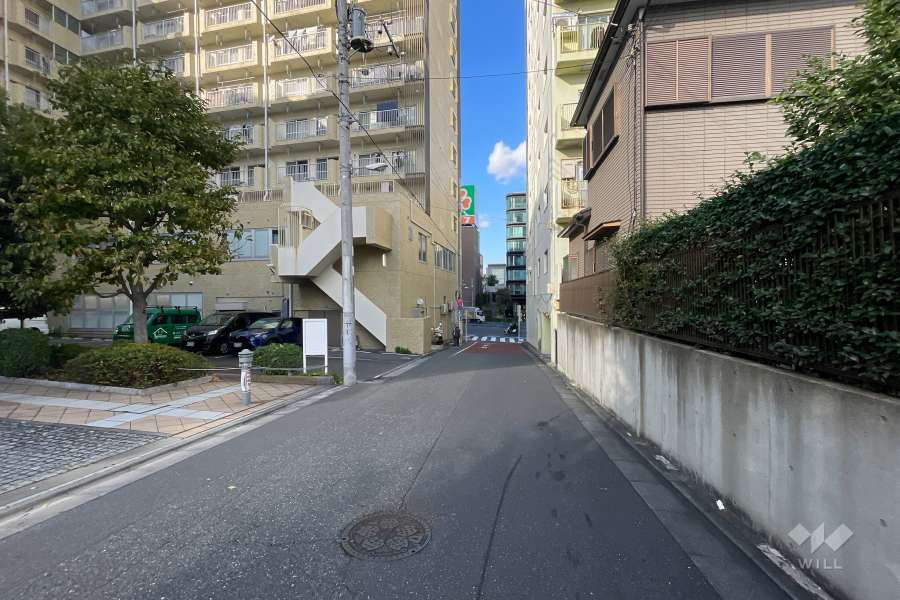 敷地の東側前面道路（南側から）