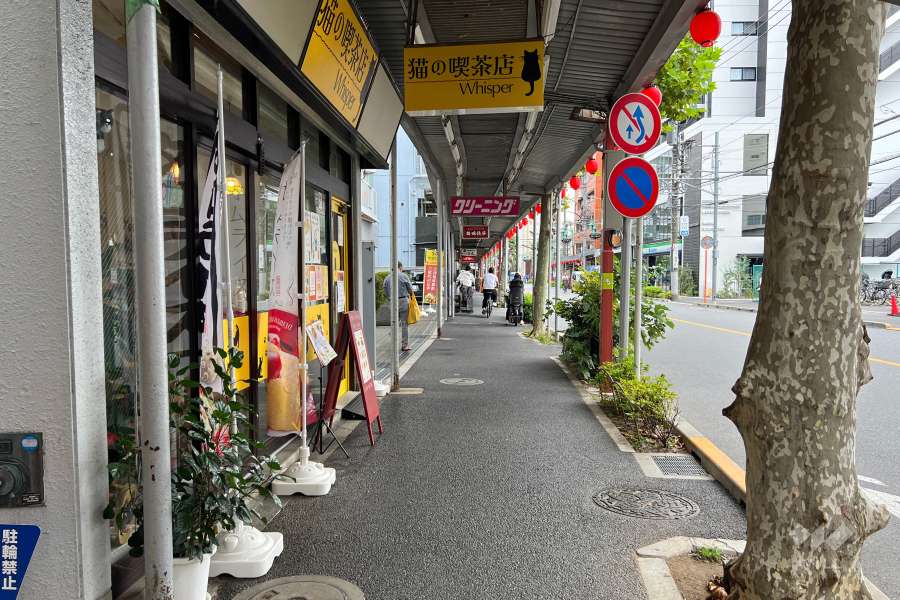 敷地北西側の前面道路