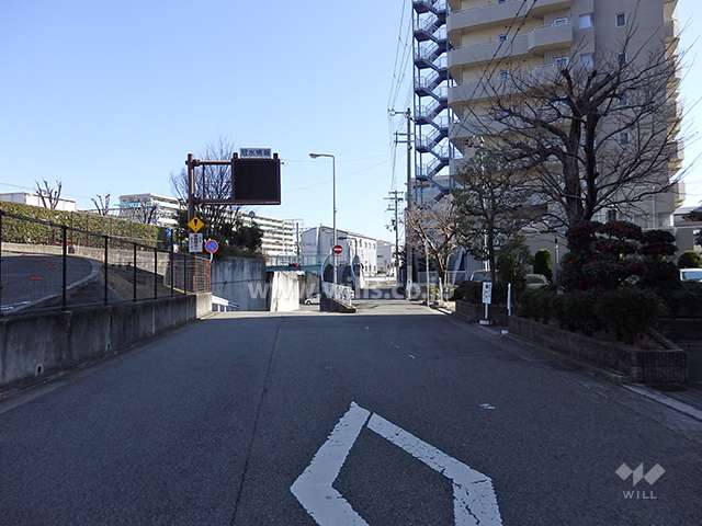 前面道路（西側から）