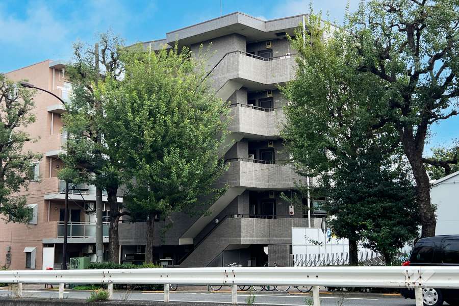 菱和パレス野方の外観（南西側から）