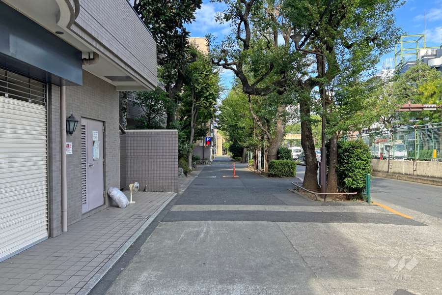 敷地東側の前面道路（南側から）