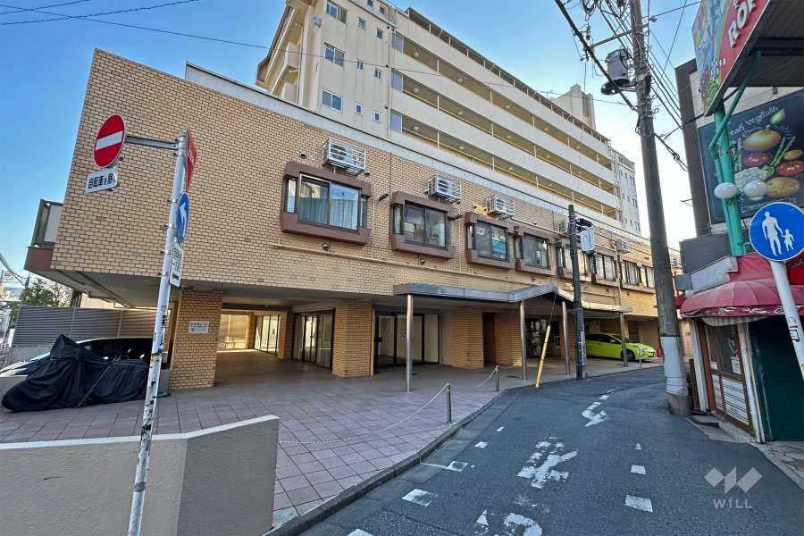 敷地の北側前面道路（東側から）